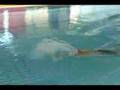 Total Immersion Butterfly Demo by Shinji Takeuchi