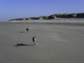 CLIP0103