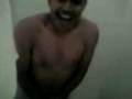 videos de PISTACHON DE CECYTEH