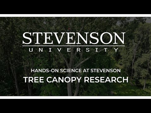 Hands-on-Science: Tree Canopy Research