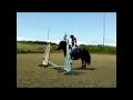 Me And Ebony Refusing Jumps x