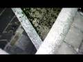 Parkour Film, Feedback Loop.