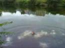 D�chicrash - Bike In The Ourthe