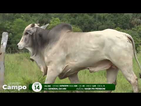 1 De Olho na Fazenda SELEO DO CAMPO