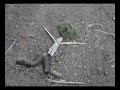 Sauve06-probe