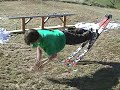 Couldn\ Couldn\