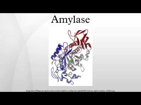 how to isolate alpha amylase