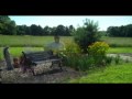 Lemonade (a Jacob Fannin original)