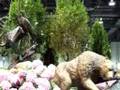 Washington home and garden show