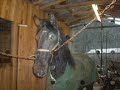 Pushers Shadow Man.wmv