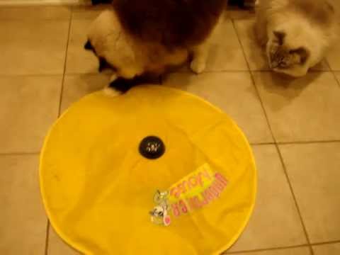 Undercover Mouse Electronic Cat Toy Review 0 Undercover Mouse Electronic Cat Toy Review