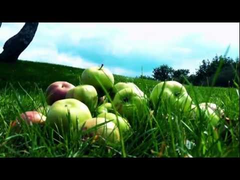 See video
