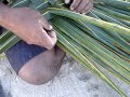 Izzy shows us step by step basket weaving!