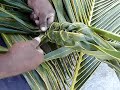 Izzy shows us step by step basket weaving! Izzy shows us step by step basket weaving!