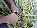 Izzy shows us step by step basket weaving!