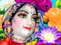 RADHA GOPINATH