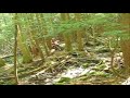 Jumping into a crick bed on a motorcycle