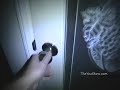 Real ghost video proof 3