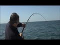 Pesca ao Pargo - 18,5kg!