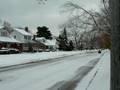 videos de snow.MOV
