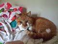micky  18 jaar