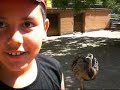 mis sobris en Barcelona -parte3