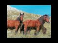 Μακεδονίτικα (playlist): http://t.co/xBTjUanloT via @youtube
