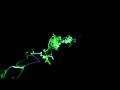 videos de Comp 1_3ra.avi