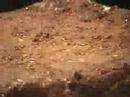 Grilled-Skirt-Steak-