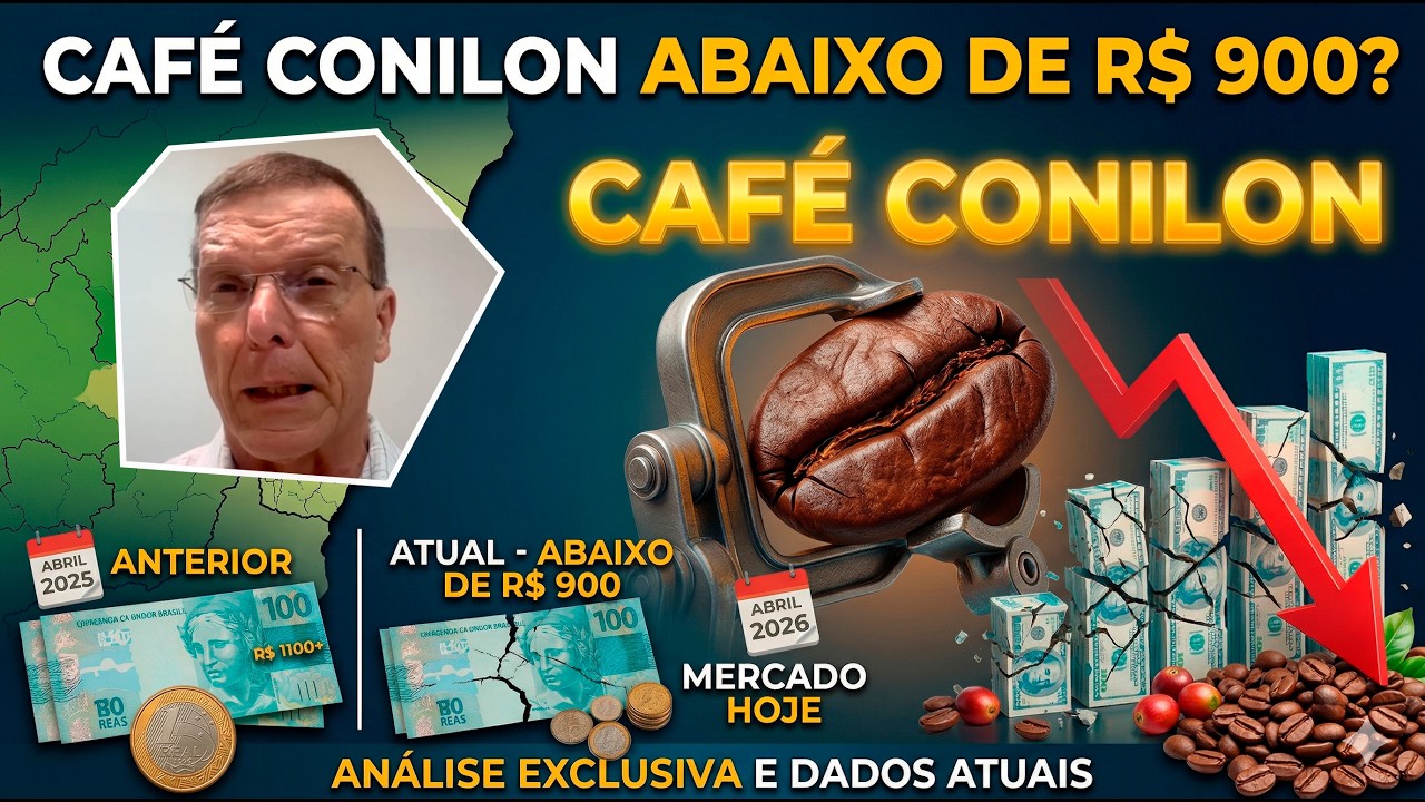 Conilon Abaixo de R$ 900: A Nova Realidade do Café na Safra 2026?