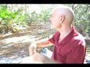 HIV /  AIDS CureMovie Segment  4 Salmonellosis