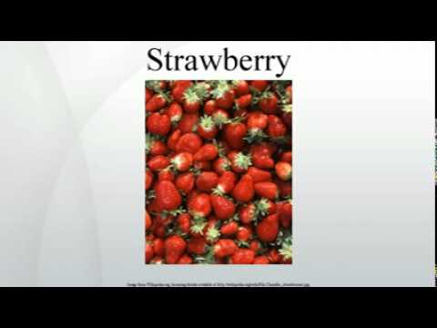 how to grow fragaria x ananassa