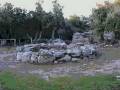 videos de Schede Archeologiche: Paradigmi Cultuali e Sacri nella Barbagia di Bitti Sardinia
