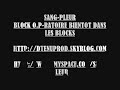 interview de la swija par sang-pleur durant l'enregistrement du morceau 
