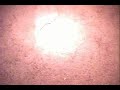Snake Eats Rat a Vault Teaser