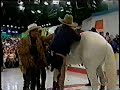 Ratinho caindo do cavalo