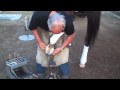 In Good Hands- Kentucky Derby Week Horseshoeing