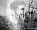 CircassiAntalya - Vals