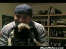 chien dégeu