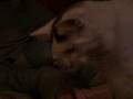 Kitty-Bitty-eats-a-g