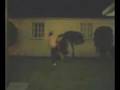 videos de c