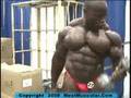 IFBB-Pro-bodybuilder