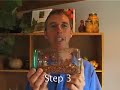 How to Grow Bean Sprouts How to Grow Bean Sprouts