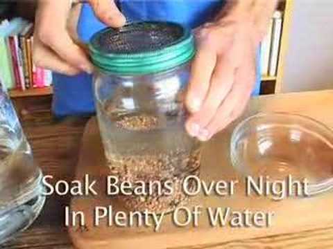 how to grow kweek grass