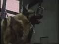 Assistir ao v�deo