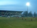 Rugby Rovigo vs Gran Parma- Finale allo Stadio Battaglini