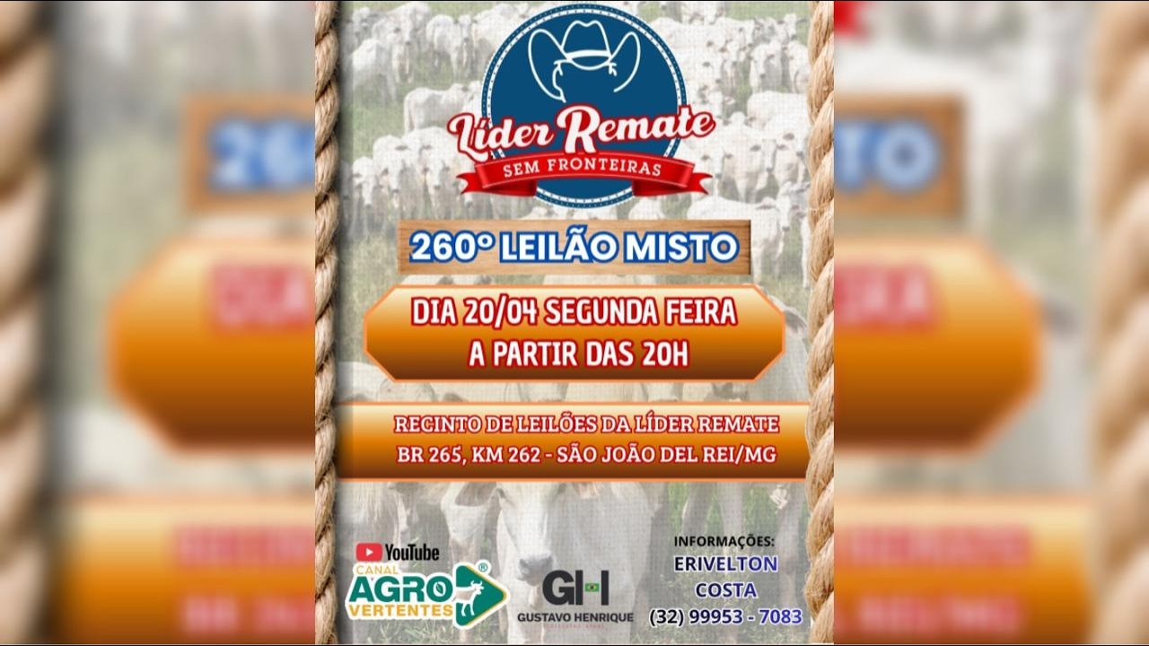260º LEILÃO MISTO LÍDER REMATE - SÃO JOÃO DEL REI/MG - 20/04/2026