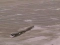 Mare d'Inverno (cortometraggio)