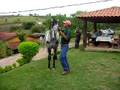 CAVALO APALOOSA ADESTRAMENTO