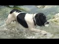 Baywalk - The Video